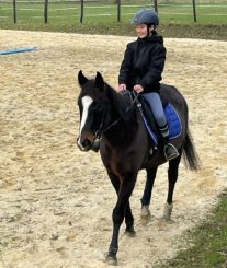 Equestrian activities for children (3)