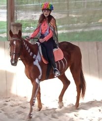 Equestrian activities for children (4)