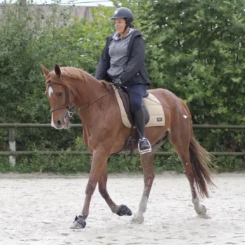 Domaine equestre du PAys bellemois (3)_xeb Domaine equestre du PAys bellemois (10)_xeb
