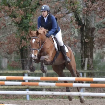 Domaine equestre du PAys bellemois (4)_xeb Anne Laure Colon