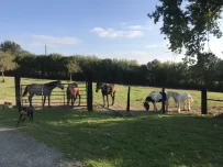 Domaine equestre du PAys bellemois (8)_xeb Domaine equestre du PAys bellemois (10)_xeb