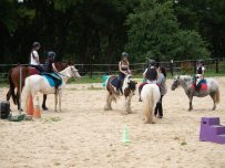 Domaine equestre pays bellemois (1)