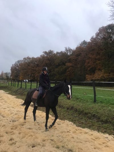 ED56C90C-661F-44D2-82B4-70BFE15BE067_1_105_c Training on the PAys Bellemois equestrian estate_xeb