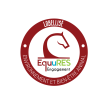 macaron-engagement-EquuRES